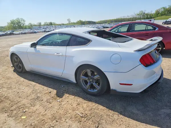 1FA6P8AM3H5209646 2017 FORD MUSTANG - Image 2