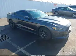 1FA6P8AM3H5214328 2017 FORD MUSTANG