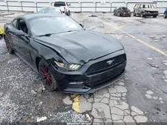 1FA6P8AM3H5226379 2017 FORD MUSTANG