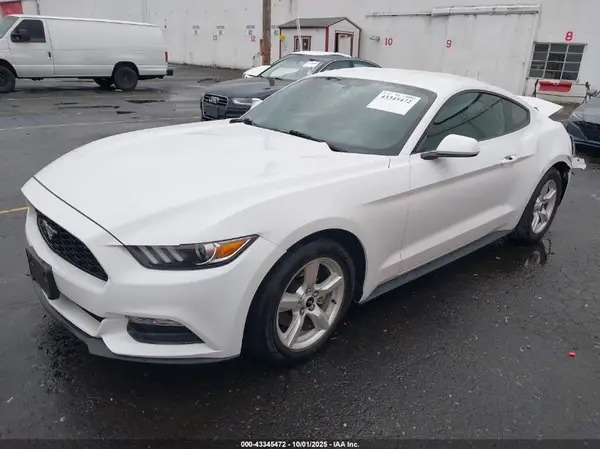 1FA6P8AM3H5229217 2017 FORD MUSTANG - Image 2