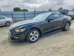 1FA6P8AM3H5231162 2017 FORD MUSTANG