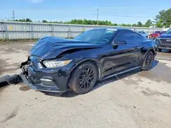 1FA6P8AM3H5237303 2017 FORD MUSTANG