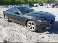 1FA6P8AM3H5240282 2017 FORD MUSTANG
