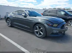 1FA6P8AM3H5241884 2017 FORD MUSTANG