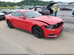 1FA6P8AM3H5250262 2017 FORD MUSTANG