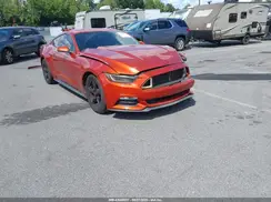 1FA6P8AM3H5255493 2017 FORD MUSTANG