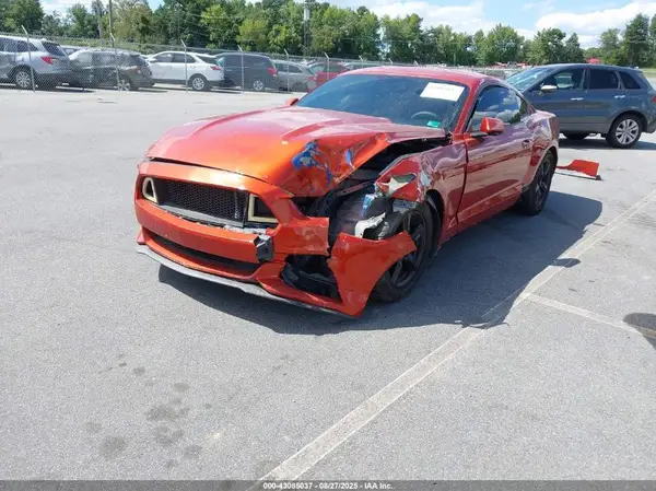 1FA6P8AM3H5255493 2017 FORD MUSTANG - Image 2