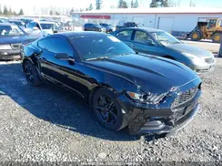 1FA6P8AM3H5260094 2017 FORD MUSTANG