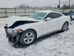 1FA6P8AM3H5264257 2017 FORD MUSTANG
