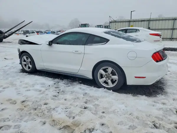 1FA6P8AM3H5264257 2017 FORD MUSTANG - Image 2