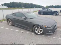 1FA6P8AM3H5271435 2017 FORD MUSTANG
