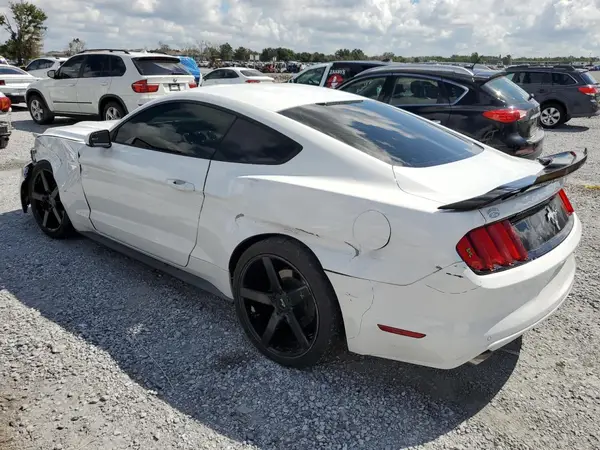 1FA6P8AM3H5289840 2017 FORD MUSTANG - Image 2