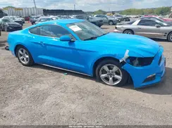 1FA6P8AM3H5290552 2017 FORD MUSTANG