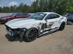 1FA6P8AM3H5303462 2017 FORD MUSTANG