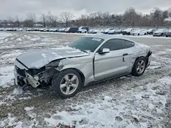 1FA6P8AM3H5307091 2017 FORD MUSTANG