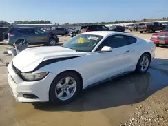 1FA6P8AM3H5308872 2017 FORD MUSTANG