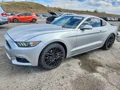 1FA6P8AM3H5311075 2017 FORD MUSTANG