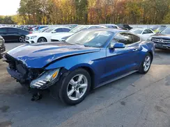 1FA6P8AM3H5328605 2017 FORD MUSTANG
