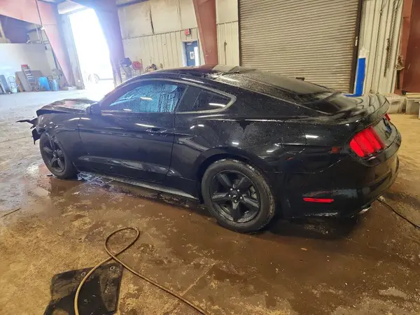 1FA6P8AM3H5333027 2017 FORD MUSTANG - Image 2