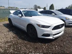 1FA6P8AM3H5338700 2017 FORD MUSTANG