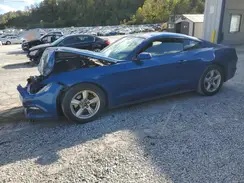 1FA6P8AM3H5343735 2017 FORD MUSTANG