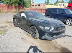 1FA6P8AM3H5345243 2017 FORD MUSTANG