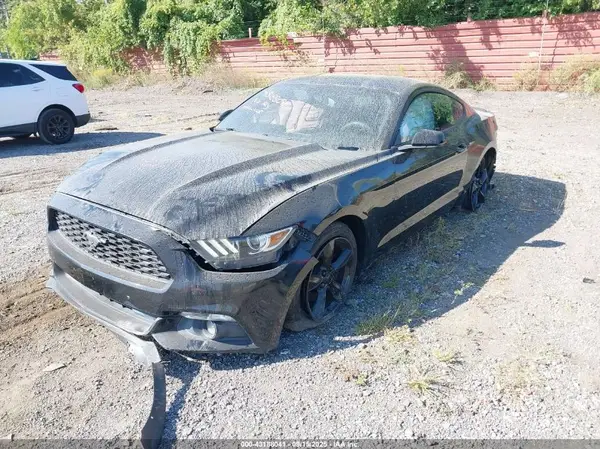 1FA6P8AM3H5345243 2017 FORD MUSTANG - Image 2