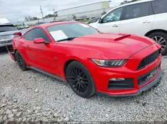 1FA6P8AM3H5352077 2017 FORD MUSTANG