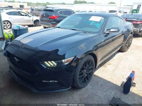 1FA6P8AM4G5230245 2016 FORD MUSTANG - Image 2