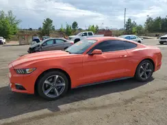 1FA6P8AM4G5253699 2016 FORD MUSTANG