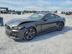 1FA6P8AM4G5255498 2016 FORD MUSTANG