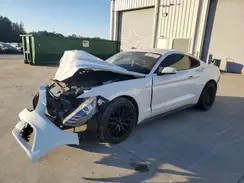 1FA6P8AM4G5273080 2016 FORD MUSTANG