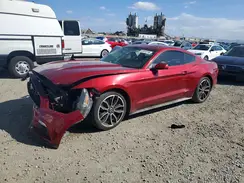 1FA6P8AM4G5328014 2016 FORD MUSTANG