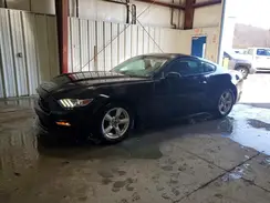 1FA6P8AM4G5331270 2016 FORD MUSTANG