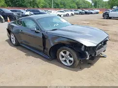 1FA6P8AM4H5228027 2017 FORD MUSTANG
