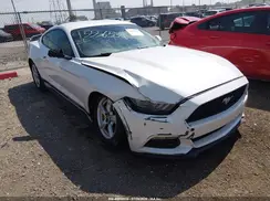 1FA6P8AM4H5230585 2017 FORD MUSTANG