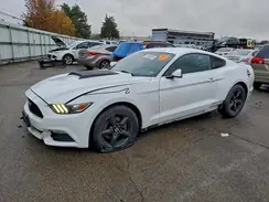 1FA6P8AM4H5256975 2017 FORD MUSTANG