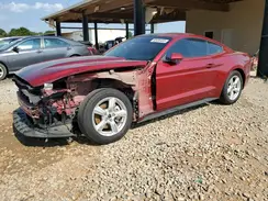 1FA6P8AM4H5262727 2017 FORD MUSTANG