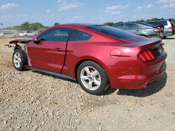 1FA6P8AM4H5262727 2017 FORD MUSTANG - Image 2