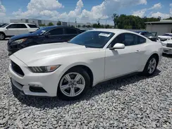 1FA6P8AM4H5276319 2017 FORD MUSTANG
