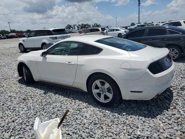 1FA6P8AM4H5276319 2017 FORD MUSTANG - Image 2