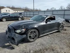 1FA6P8AM4H5286428 2017 FORD MUSTANG