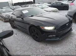 1FA6P8AM4H5300781 2017 FORD MUSTANG
