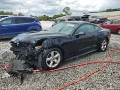 1FA6P8AM4H5301123 2017 FORD MUSTANG