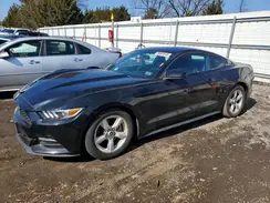 1FA6P8AM4H5301610 2017 FORD MUSTANG