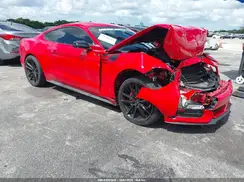 1FA6P8AM4H5328810 2017 FORD MUSTANG