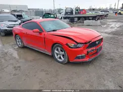1FA6P8AM4H5337443 2017 FORD MUSTANG