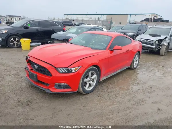 1FA6P8AM4H5337443 2017 FORD MUSTANG - Image 2