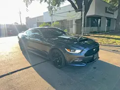 1FA6P8AM4H5340049 2017 FORD MUSTANG