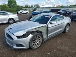 1FA6P8AM4H5343582 2017 FORD MUSTANG